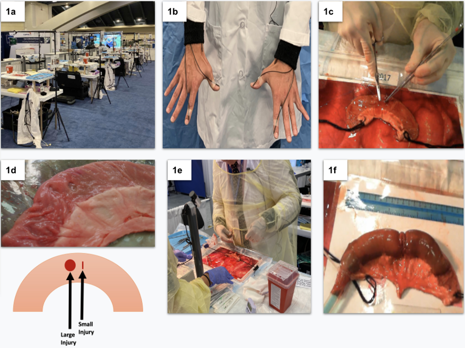 Figure 1: