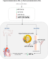 Graphical Abstract