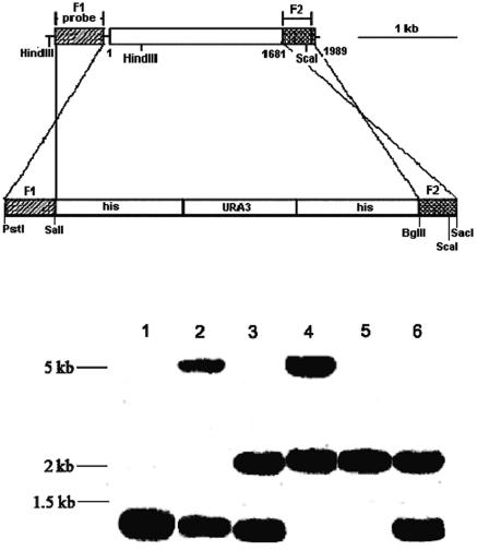 FIG. 1.