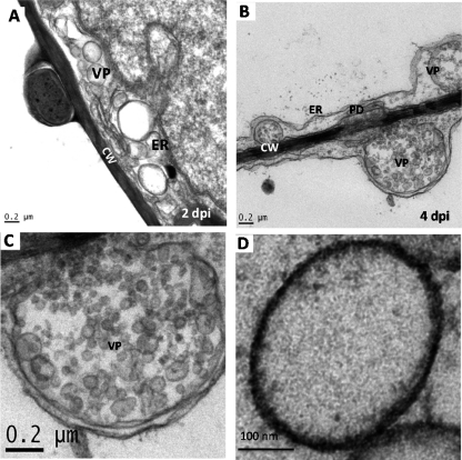 FIG. 7.