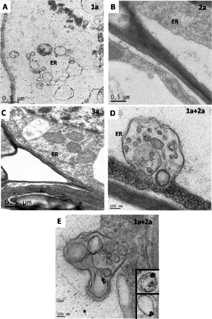 FIG. 6.