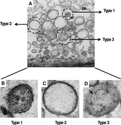 FIG. 5.