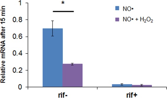 FIG 9