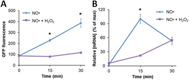 FIG 6