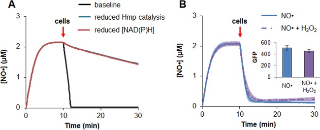 FIG 5