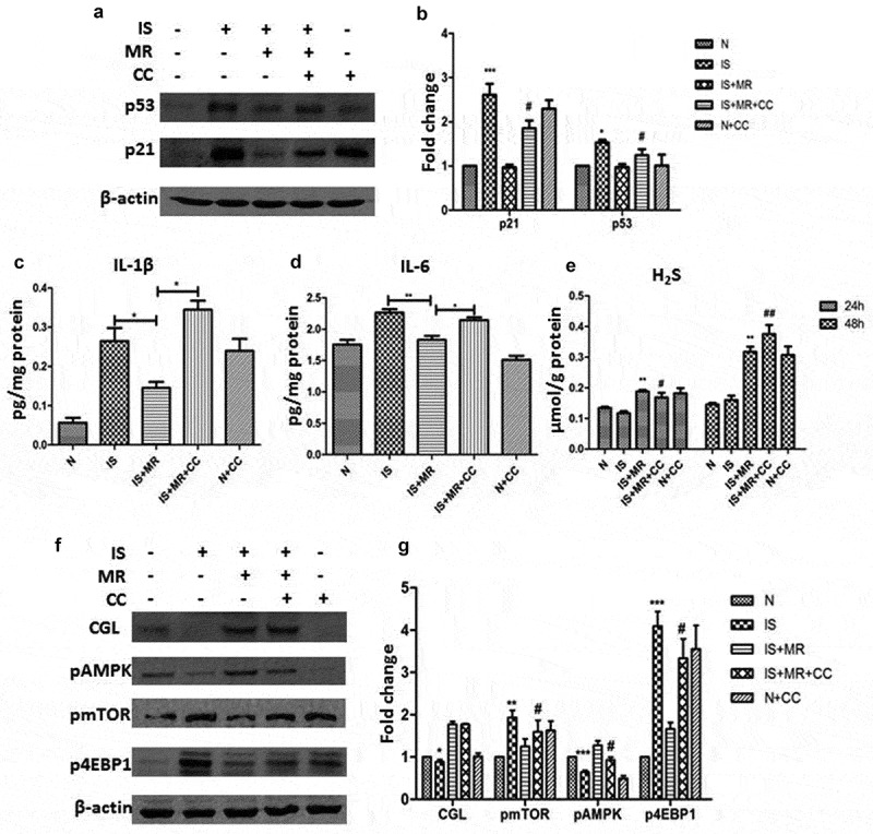 Figure 6.