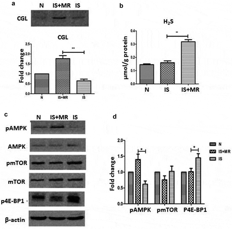 Figure 5.