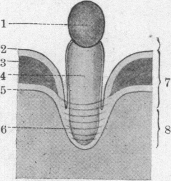 Fig. 23