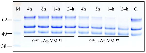 Fig. 6