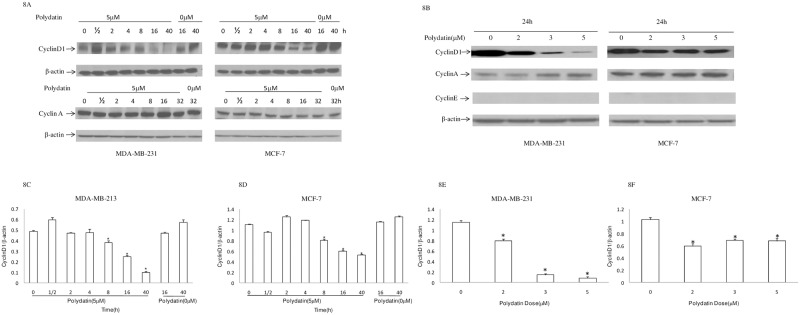 Fig 8
