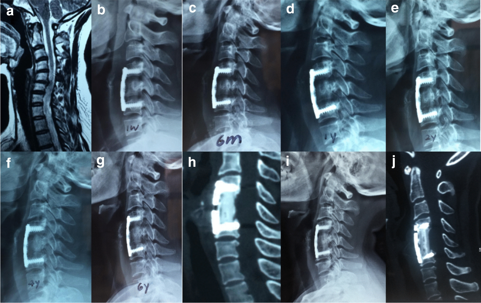 Fig. 3