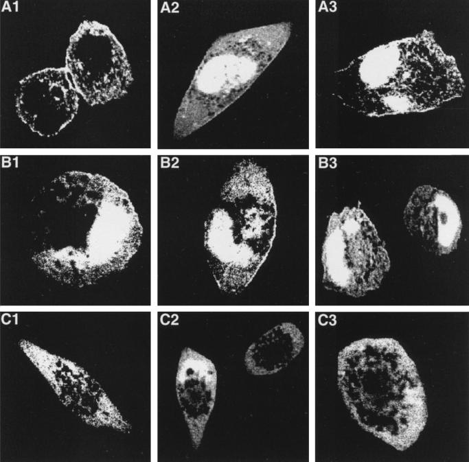 FIG. 10