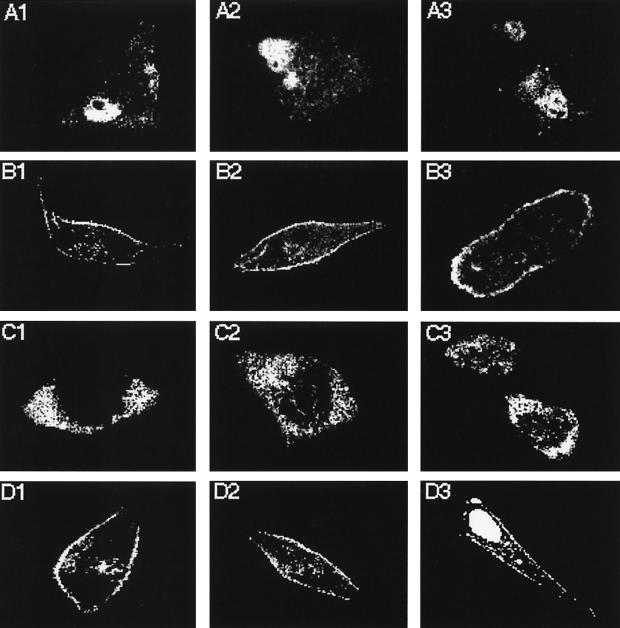 FIG. 9