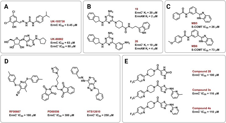 Fig. 10