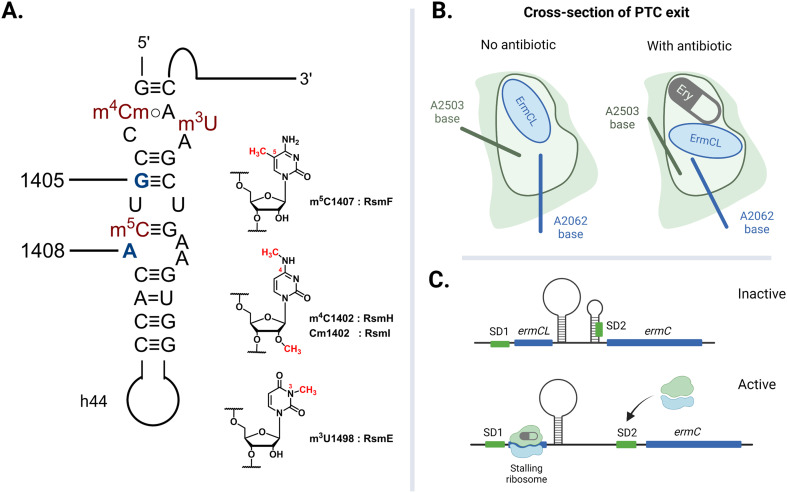 Fig. 8