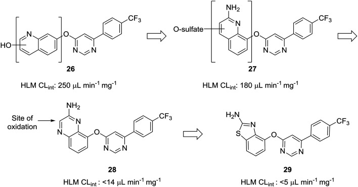 Fig. 8