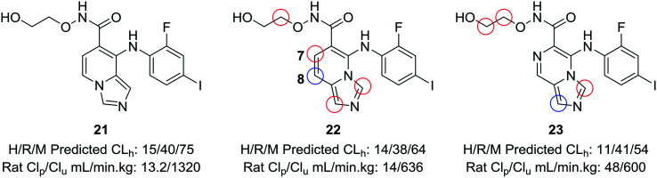 Fig. 6