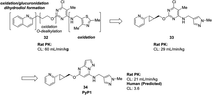 Fig. 10