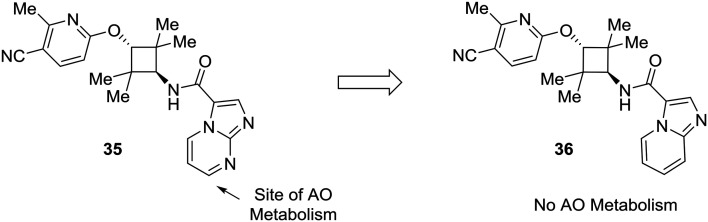 Fig. 11