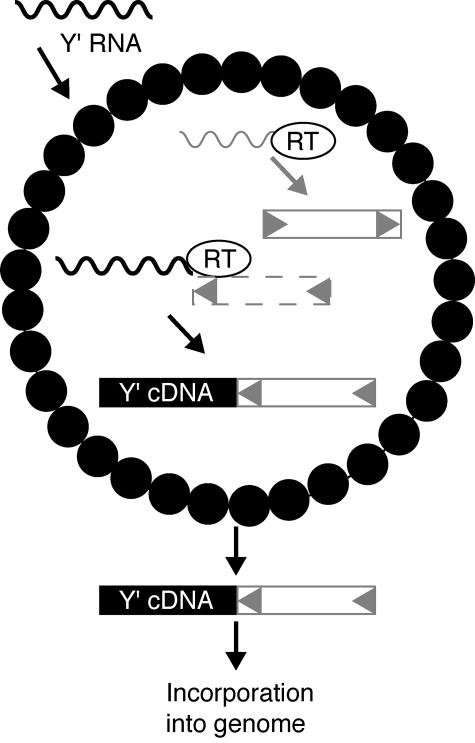 FIG. 8.