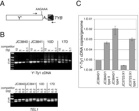 FIG. 7.