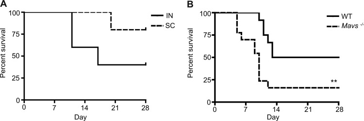 Fig 7