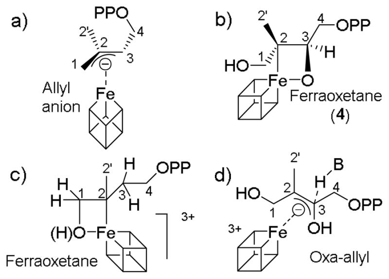 Scheme 3