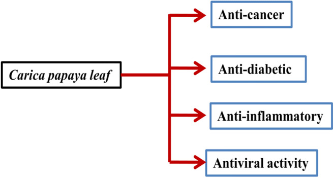 Graphical abstract