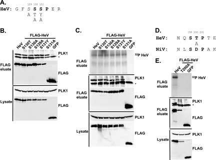 FIG. 5.