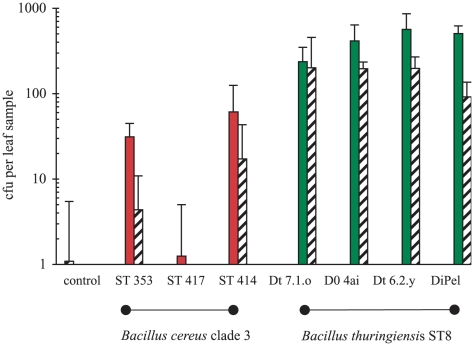 Figure 7