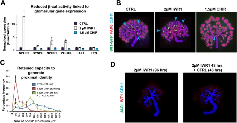 Figure 2—figure supplement 5.