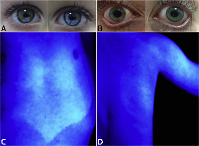 Figure 3