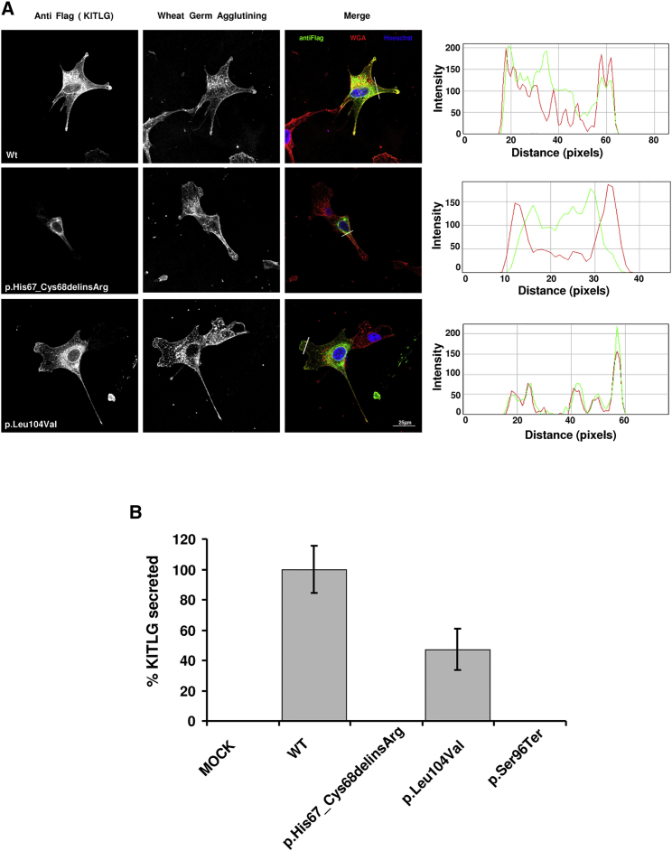 Figure 5