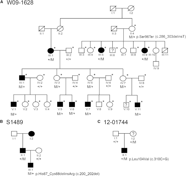 Figure 1