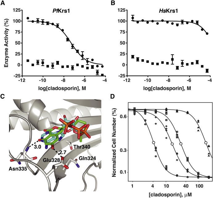 Figure 4