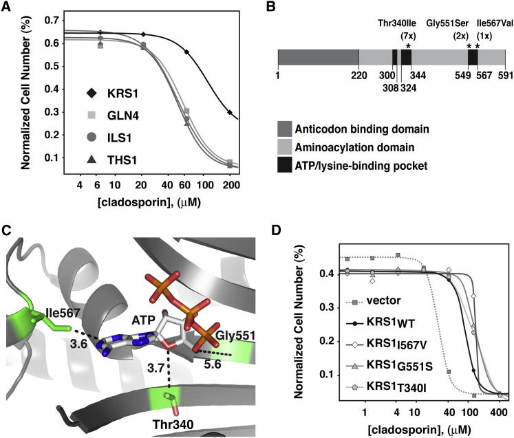 Figure 2