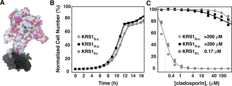 Figure 5