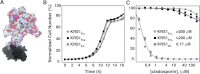 Figure 5