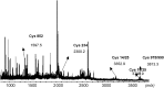 <b>FIG. 3.</b>