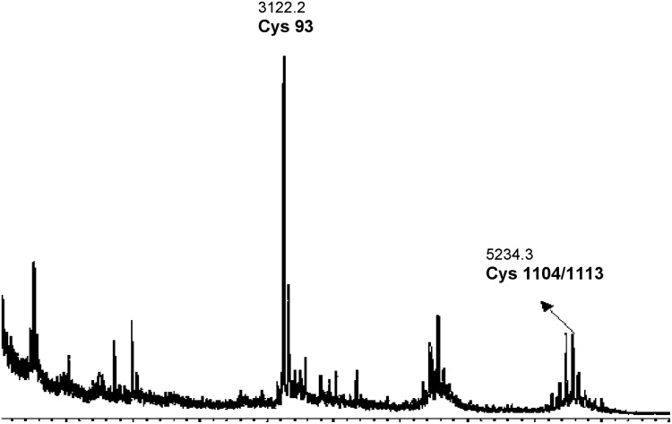 FIG. 5.