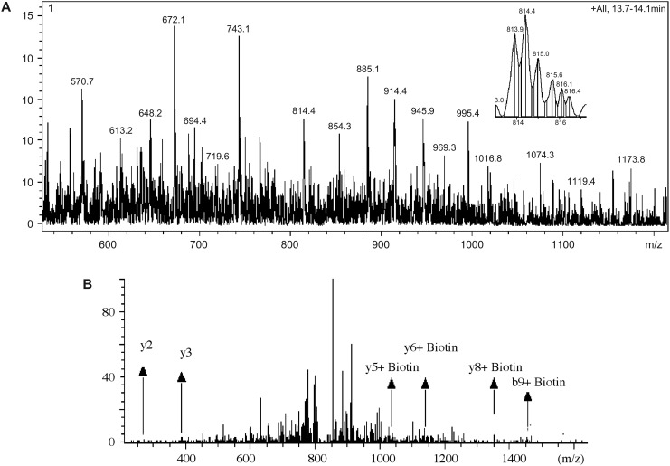 FIG. 2.