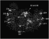 <b>FIG. 6.</b>