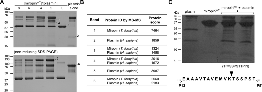 Figure 3: