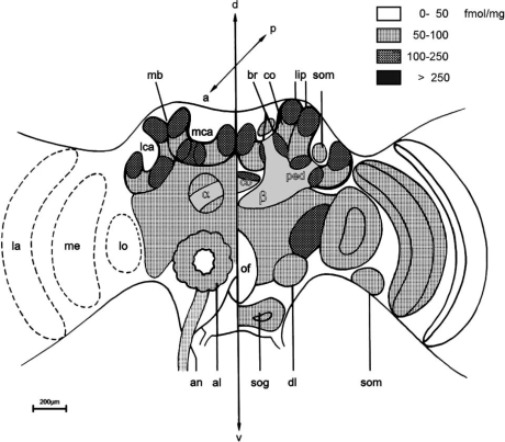 Fig. (4)