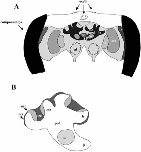 Fig. (1)