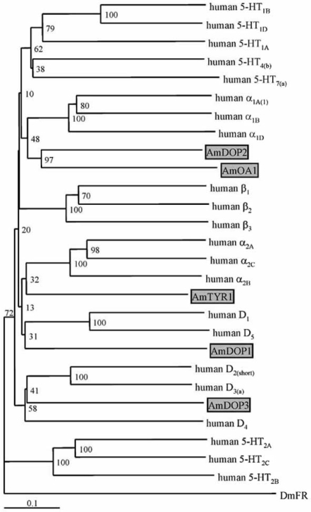 Fig. (3)