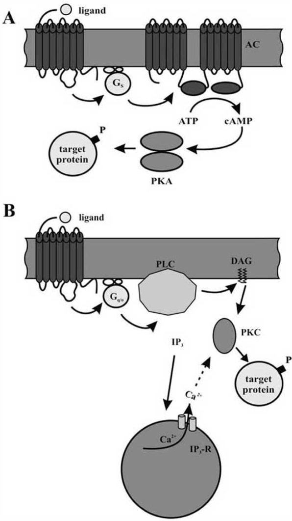 Fig. (2)