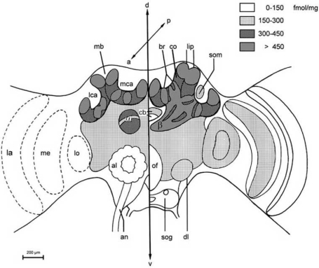 Fig. (5)