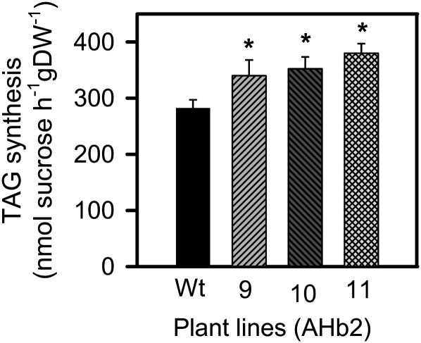 Figure 3.