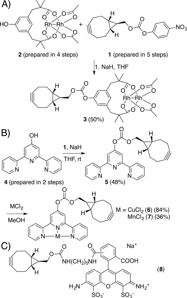 Scheme 2